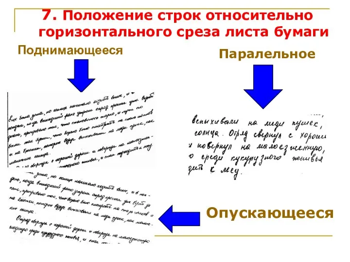 Поднимающееся Паралельное Опускающееся 7. Положение строк относительно горизонтального среза листа бумаги