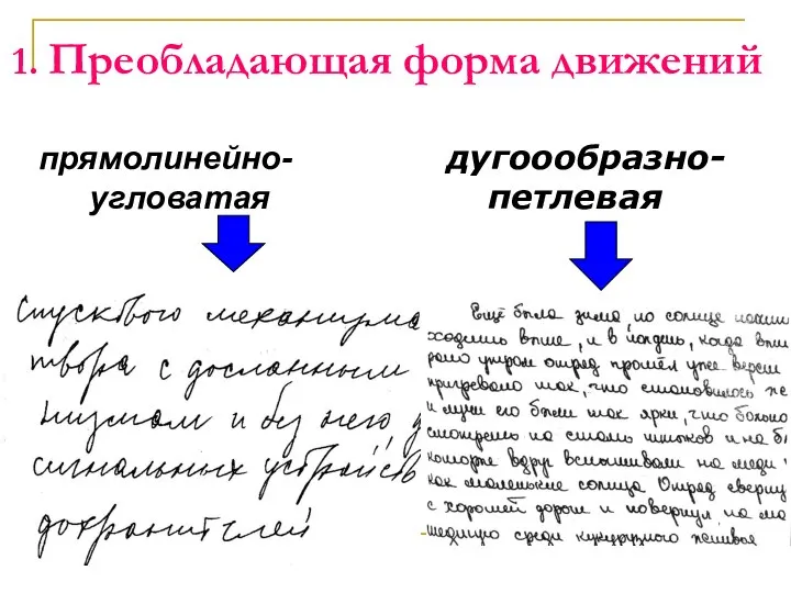 1. Преобладающая форма движений прямолинейно-угловатая дугоообразно-петлевая