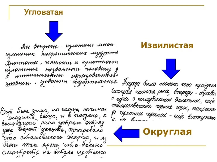 Угловатая Извилистая Округлая