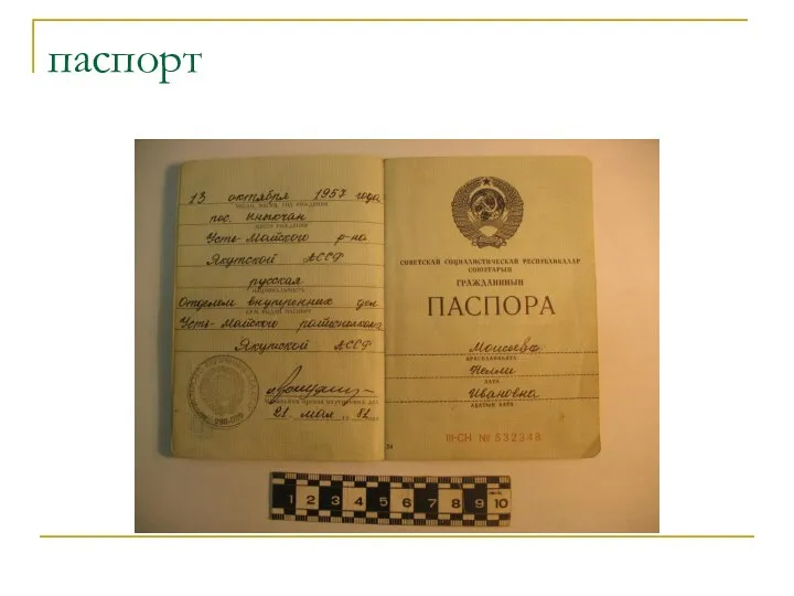 паспорт