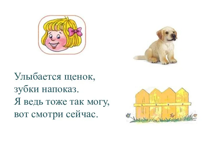 Улыбается щенок, зубки напоказ. Я ведь тоже так могу, вот смотри сейчас.