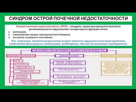 СИНДРОМ ОСТРОЙ ПОЧЕЧНОЙ НЕДОСТАТОЧНОСТИ Острая почечная недостаточность (ОПН) – синдром, характеризующийся