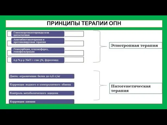 ПРИНЦИПЫ ТЕРАПИИ ОПН