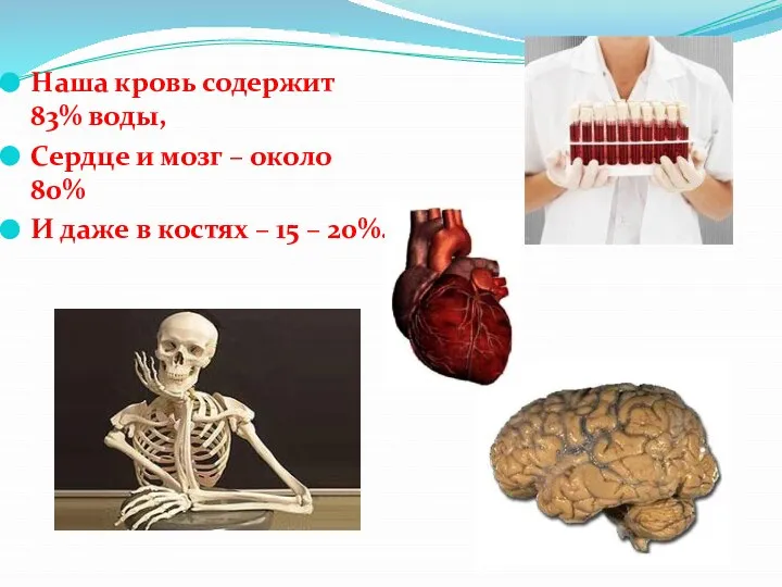 Наша кровь содержит 83% воды, Сердце и мозг – около 80%