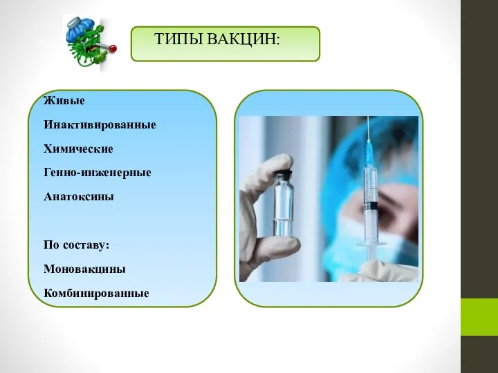 ТИПЫ ВАКЦИН: Живые Инактивированные Химические Генно-инженерные Анатоксины По составу: Моновакцины Комбинированные