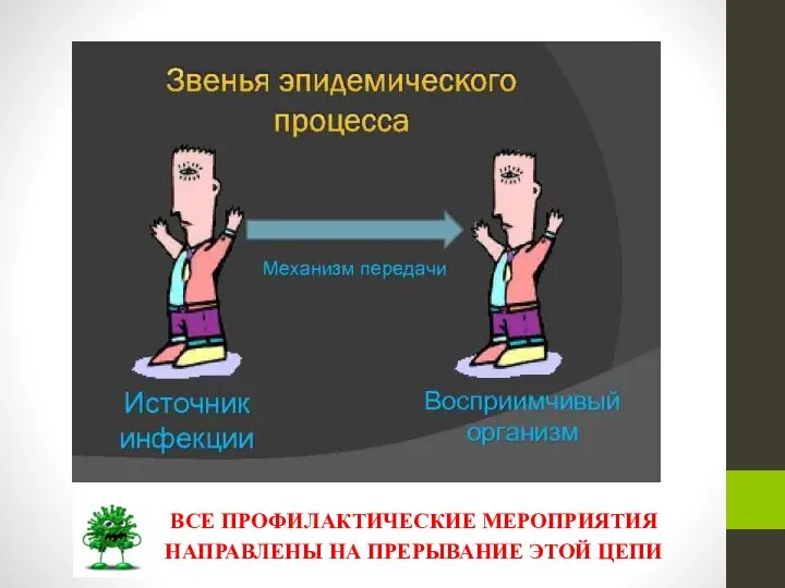 ВСЕ ПРОФИЛАКТИЧЕСКИЕ МЕРОПРИЯТИЯ НАПРАВЛЕНЫ НА ПРЕРЫВАНИЕ ЭТОЙ ЦЕПИ