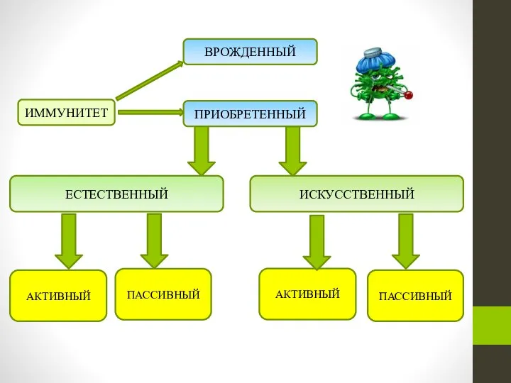 ИММУНИТЕТ ВРОЖДЕННЫЙ ПАССИВНЫЙ АКТИВНЫЙ ИСКУССТВЕННЫЙ ЕСТЕСТВЕННЫЙ ПРИОБРЕТЕННЫЙ АКТИВНЫЙ ПАССИВНЫЙ