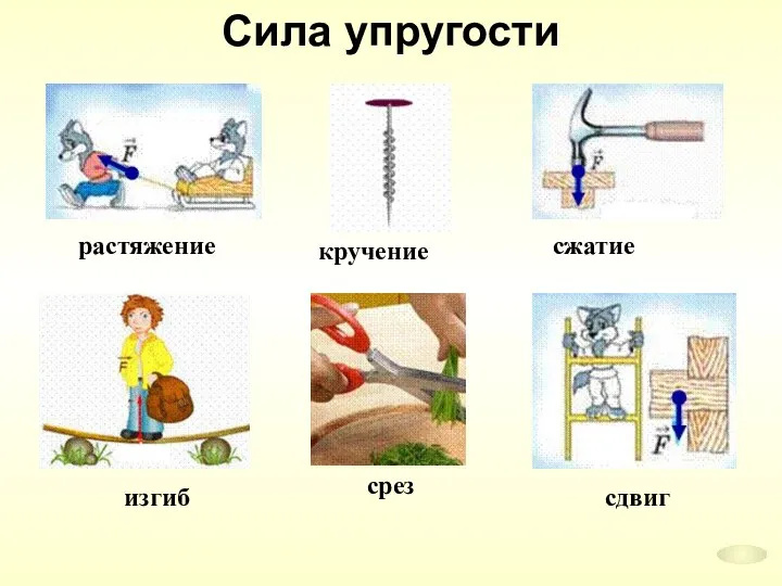 Сила упругости растяжение изгиб сжатие кручение срез сдвиг