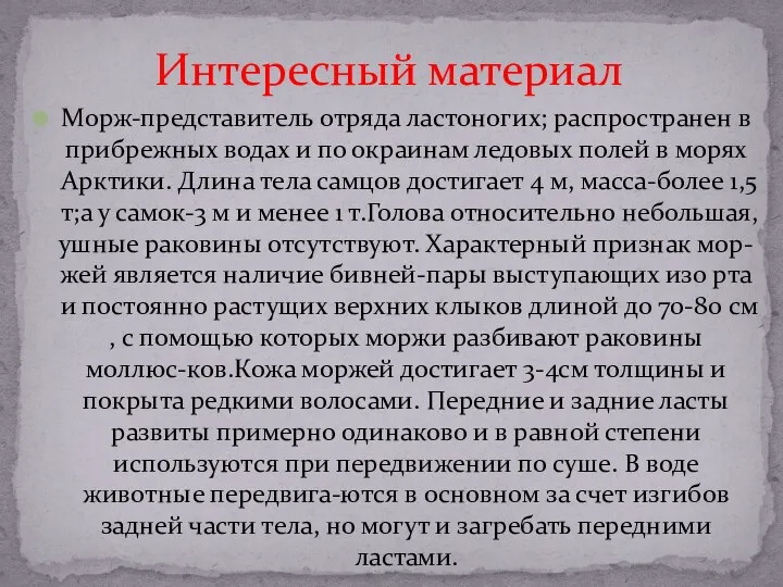 Морж-представитель отряда ластоногих; распространен в прибрежных водах и по окраинам ледовых