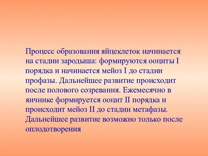 Процесс образования яйцеклеток начинается на стадии зародыша: формируются ооциты I порядка