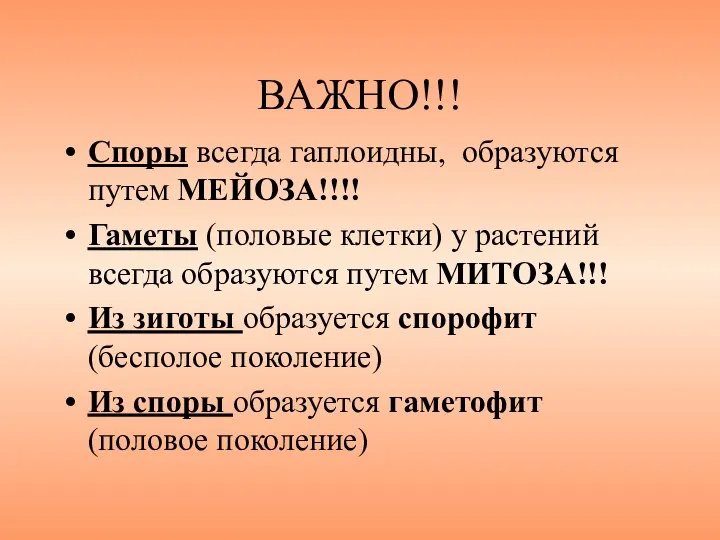 ВАЖНО!!! Споры всегда гаплоидны, образуются путем МЕЙОЗА!!!! Гаметы (половые клетки) у