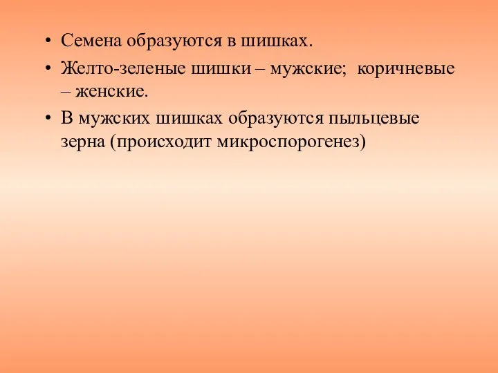 Семена образуются в шишках. Желто-зеленые шишки – мужские; коричневые – женские.