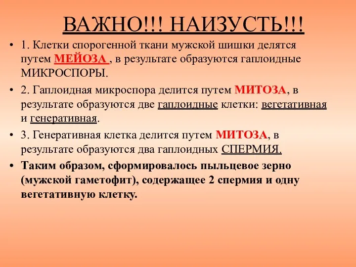 ВАЖНО!!! НАИЗУСТЬ!!! 1. Клетки спорогенной ткани мужской шишки делятся путем МЕЙОЗА