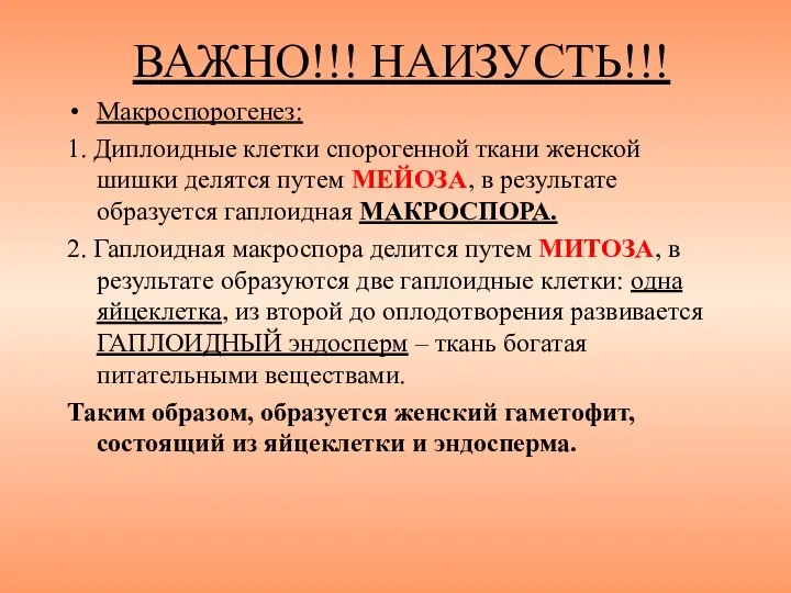 ВАЖНО!!! НАИЗУСТЬ!!! Макроспорогенез: 1. Диплоидные клетки спорогенной ткани женской шишки делятся