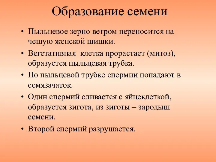 Образование семени Пыльцевое зерно ветром переносится на чешую женской шишки. Вегетативная