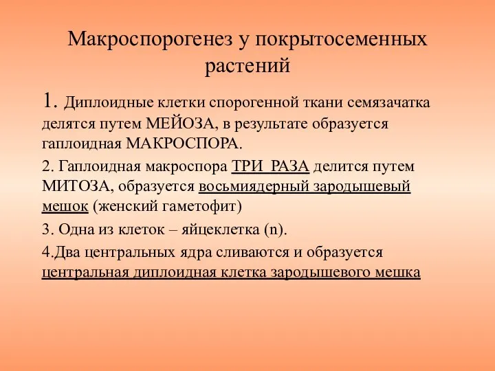 Макроспорогенез у покрытосеменных растений 1. Диплоидные клетки спорогенной ткани семязачатка делятся