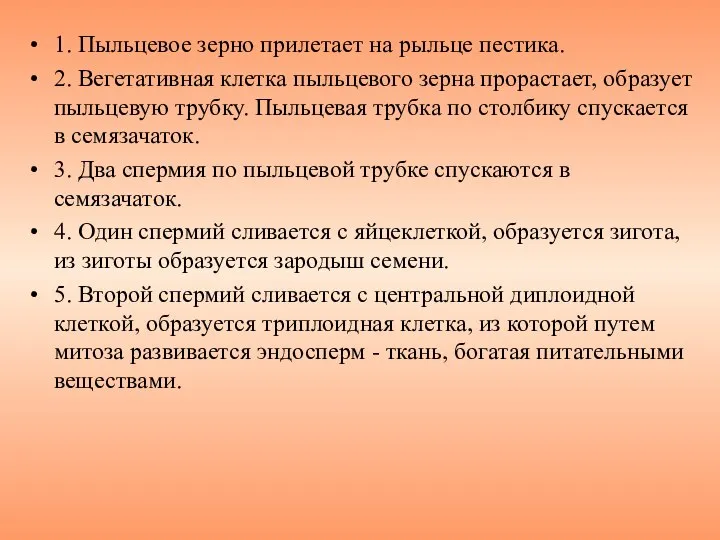 1. Пыльцевое зерно прилетает на рыльце пестика. 2. Вегетативная клетка пыльцевого