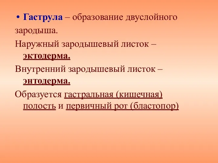 Гаструла – образование двуслойного зародыша. Наружный зародышевый листок – эктодерма. Внутренний