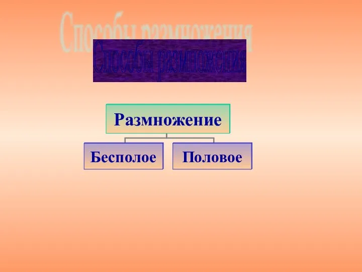 Способы размножения