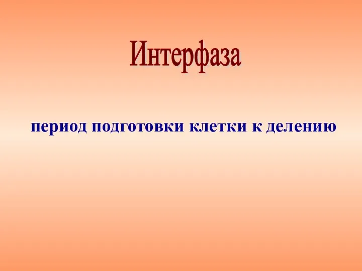 период подготовки клетки к делению Интерфаза