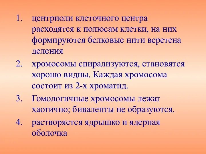 центриоли клеточного центра расходятся к полюсам клетки, на них формируются белковые