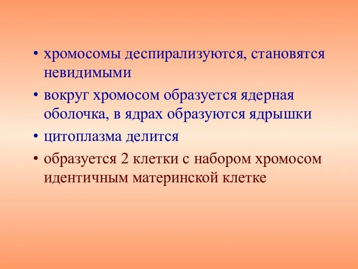 хромосомы деспирализуются, становятся невидимыми вокруг хромосом образуется ядерная оболочка, в ядрах