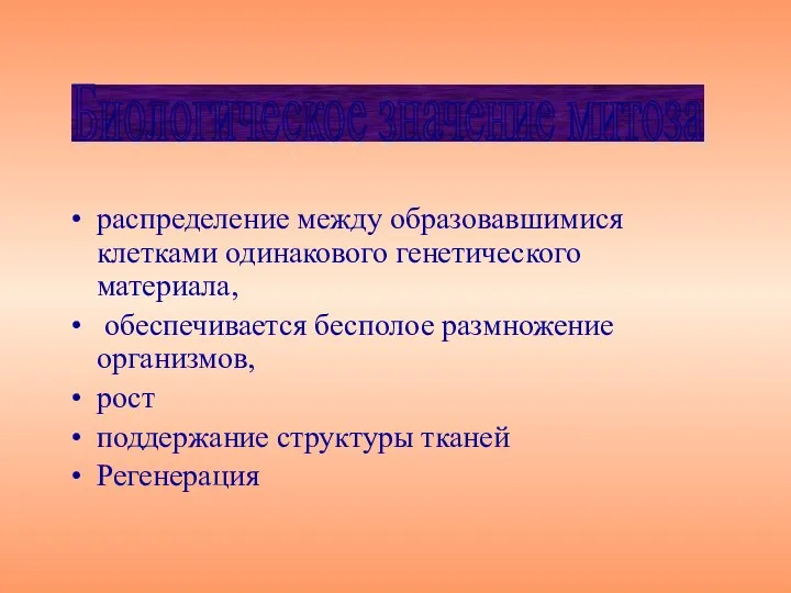 распределение между образовавшимися клетками одинакового генетического материала, обеспечивается бесполое размножение организмов,