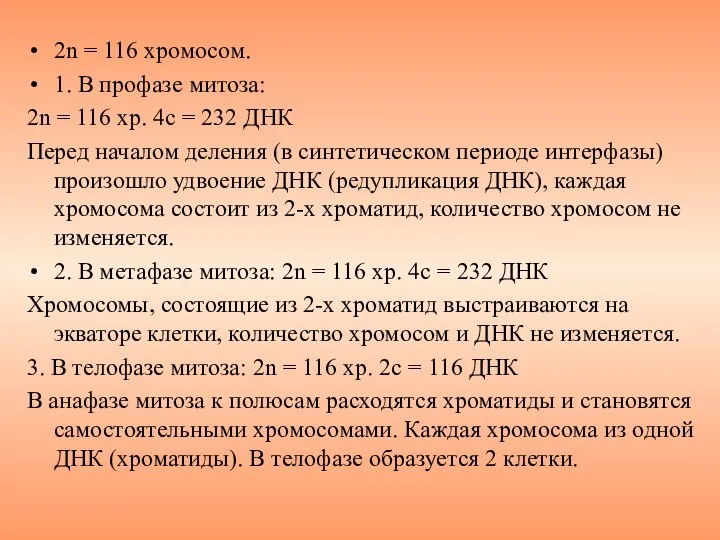 2n = 116 хромосом. 1. В профазе митоза: 2n = 116