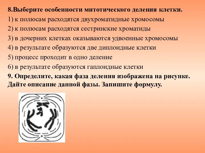 8.Выберите осо­бен­но­сти ми­то­ти­че­ско­го де­ле­ния клетки. 1) к по­лю­сам рас­хо­дят­ся дву­х­ро­ма­тид­ные хромосомы