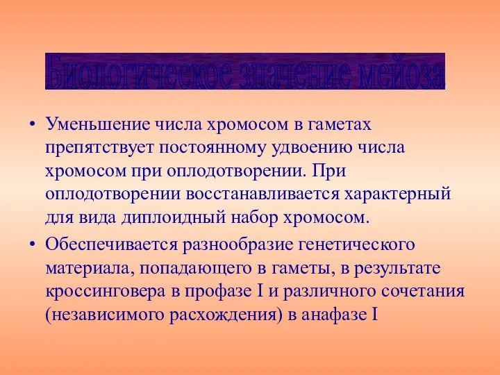 Уменьшение числа хромосом в гаметах препятствует постоянному удвоению числа хромосом при