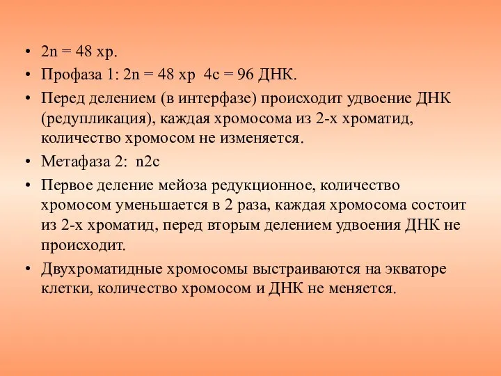 2n = 48 хр. Профаза 1: 2n = 48 хр 4с