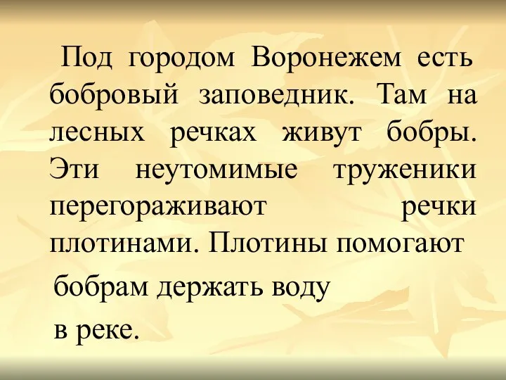 Под городом Воронежем есть бобровый заповедник. Там на лесных речках живут