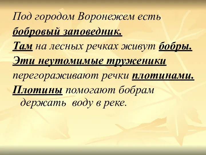 Под городом Воронежем есть бобровый заповедник. Там на лесных речках живут