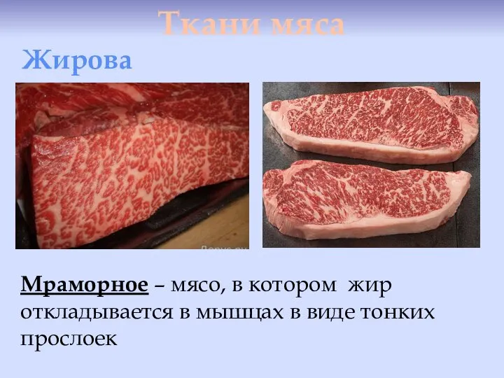 Ткани мяса Жировая Мраморное – мясо, в котором жир откладывается в мышцах в виде тонких прослоек