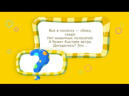 Вся в полоску — сбоку, сзади. Нет животных полосатей. А бежит быстрее ветра. Догадались? Это …