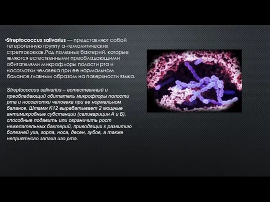 Streptococcus salivarius — представляют собой гетерогенную группу α–гемолитических стрептококков.Род полезных бактерий,