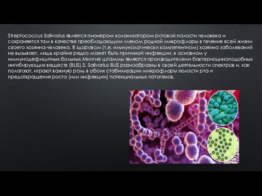 Streptococcus Salivarius является пионером колонизатором ротовой полости человека и сохраняется там