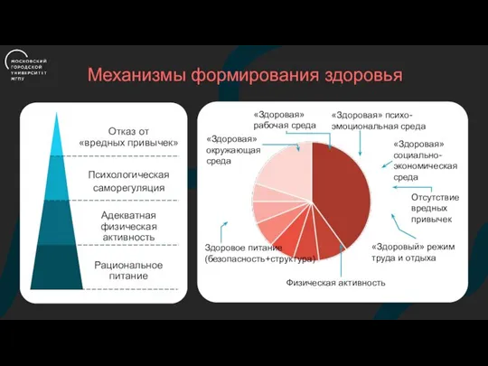 Механизмы формирования здоровья Отказ от «вредных привычек» Психологическая саморегуляция Адекватная физическая активность Рациональное питание