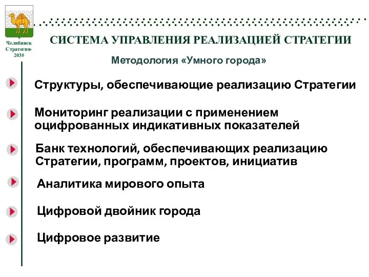 СИСТЕМА УПРАВЛЕНИЯ РЕАЛИЗАЦИЕЙ СТРАТЕГИИ Структуры, обеспечивающие реализацию Стратегии Мониторинг реализации с