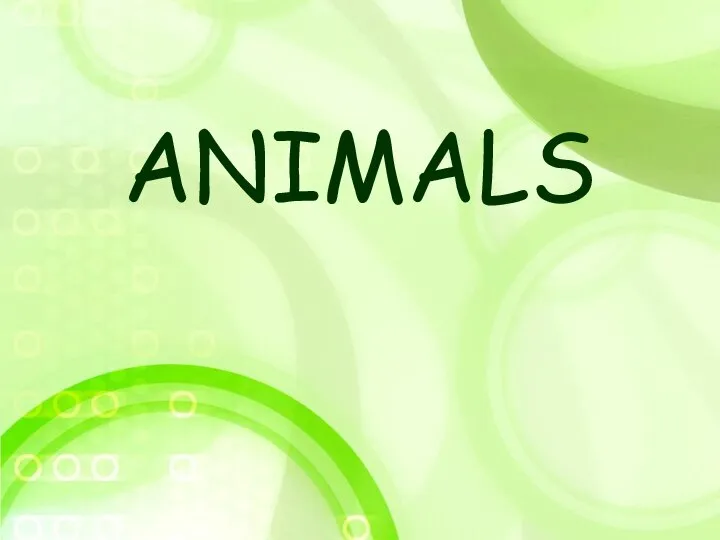 ANIMALS