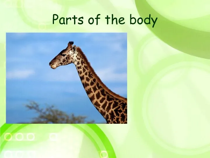 Parts of the body