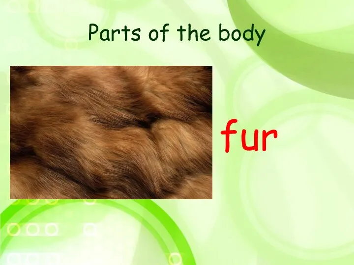 Parts of the body fur