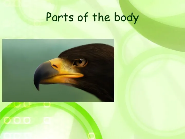 Parts of the body