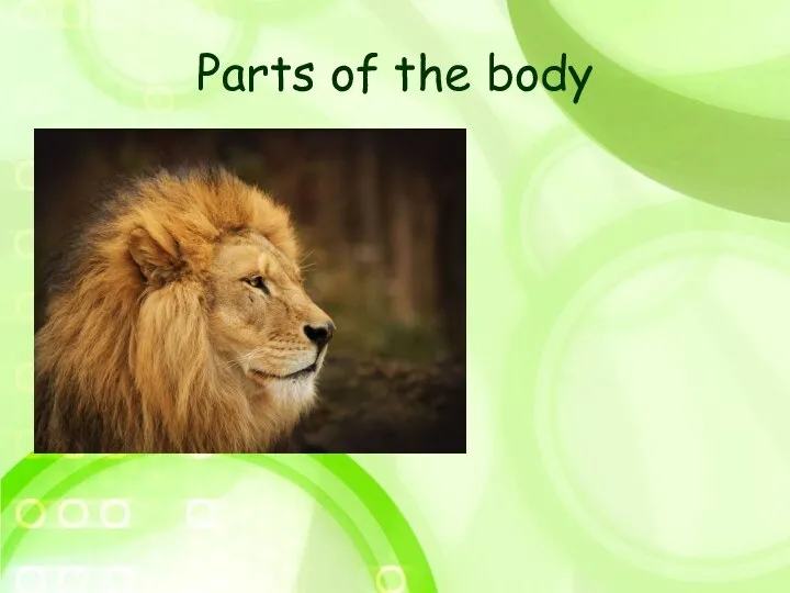 Parts of the body