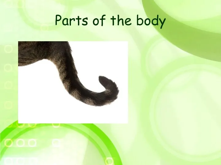 Parts of the body