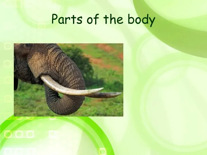 Parts of the body