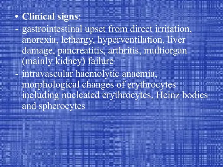 Clinical signs: gastrointestinal upset from direct irritation, anorexia, lethargy, hyperventilation, liver