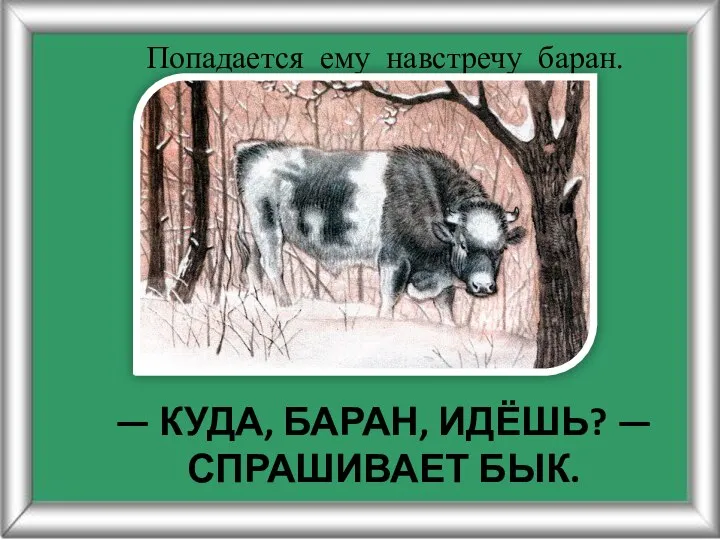 — КУДА, БАРАН, ИДЁШЬ? — СПРАШИВАЕТ БЫК. Попадается ему навстречу баран.