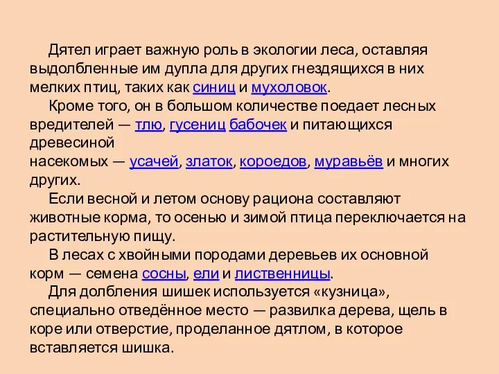 Дятел играет важную роль в экологии леса, оставляя выдолбленные им дупла