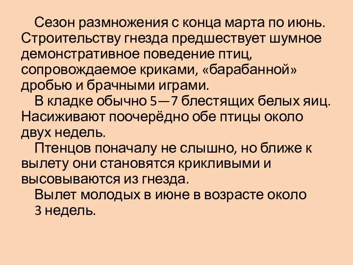 Сезон размножения с конца марта по июнь. Строительству гнезда предшествует шумное